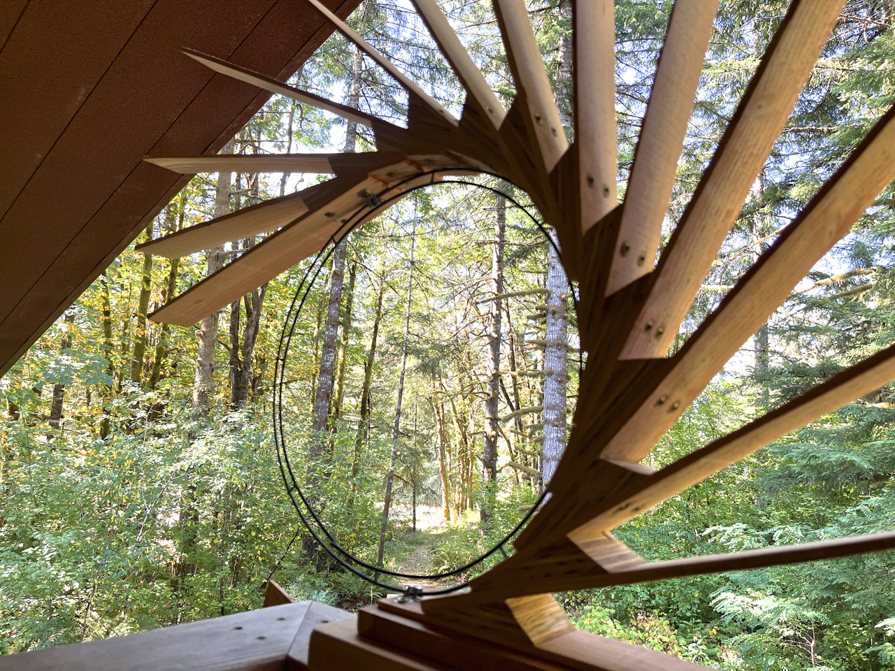 Wood Sculptures | Image 30 | Ed Carpenter, Artist