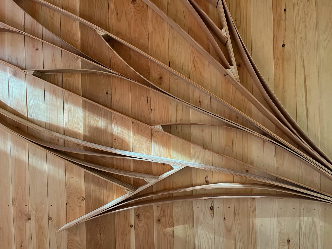 Wood Sculptures | Image 18 | Ed Carpenter, Artist