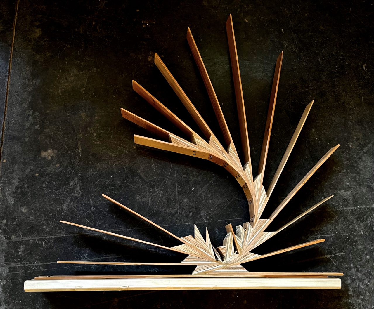 Wood Sculptures | Image 27 | Ed Carpenter, Artist