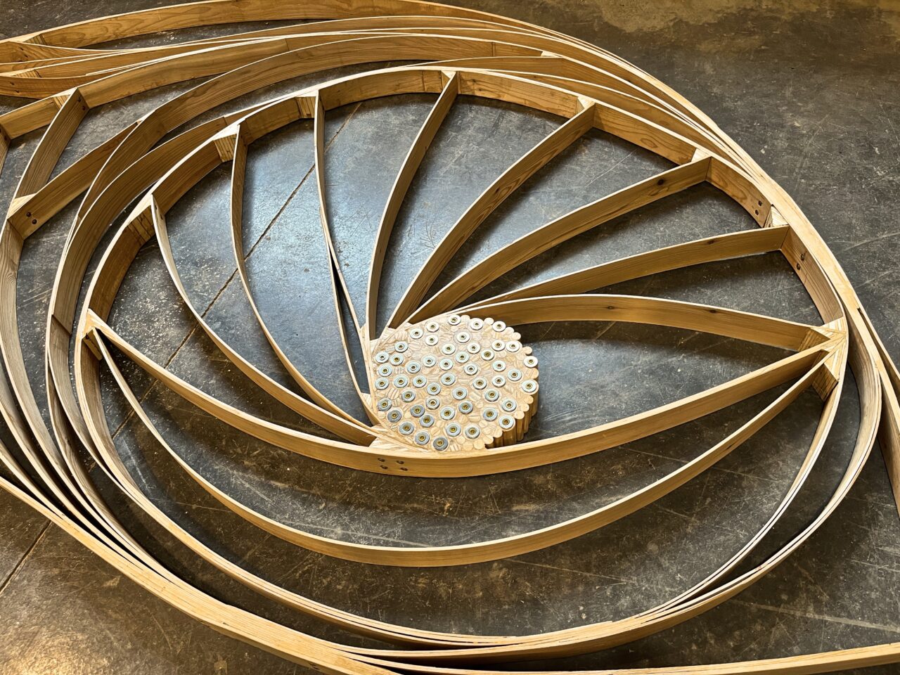 Wood Sculptures | Image 34 | Ed Carpenter, Artist