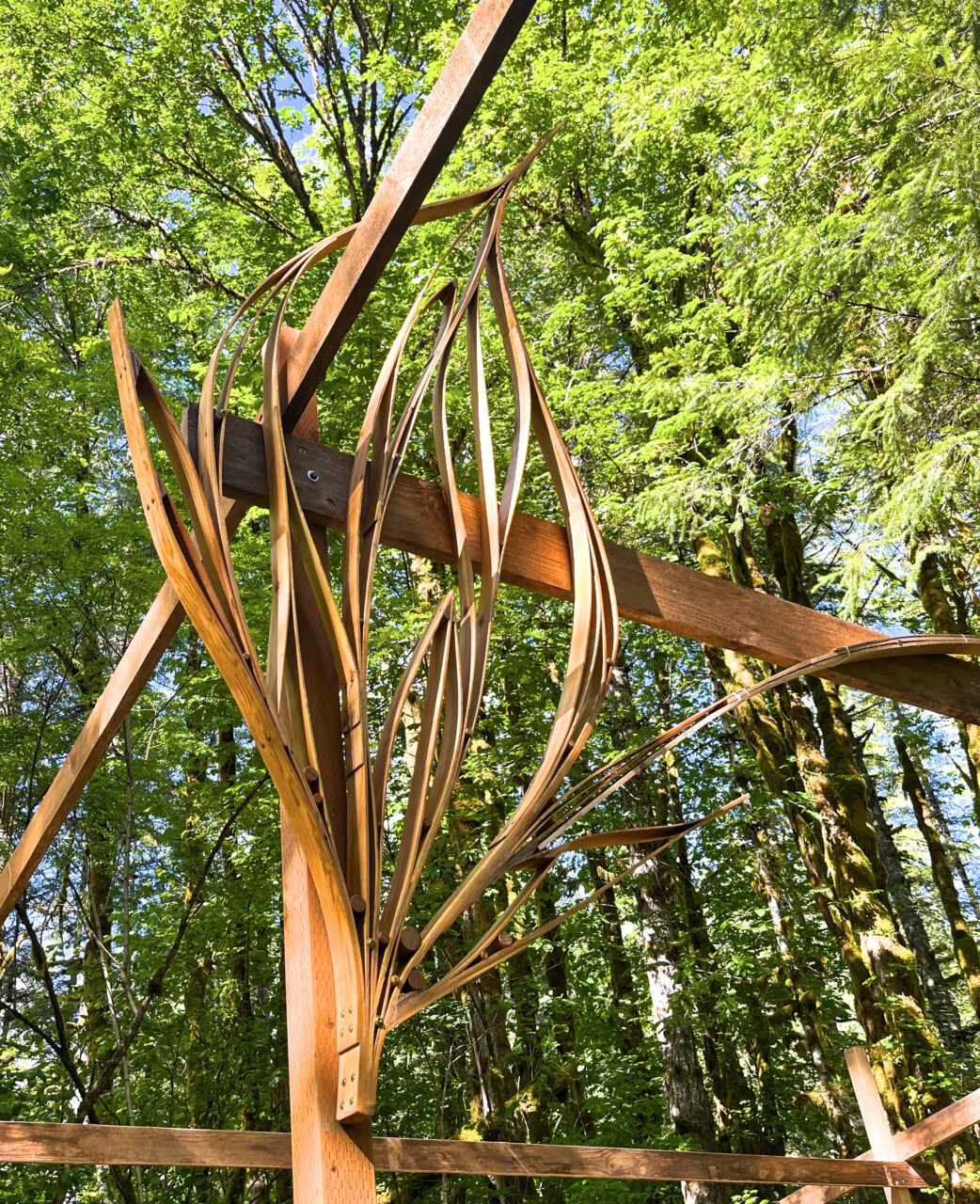 Wood Sculptures | Image 3 | Ed Carpenter, Artist