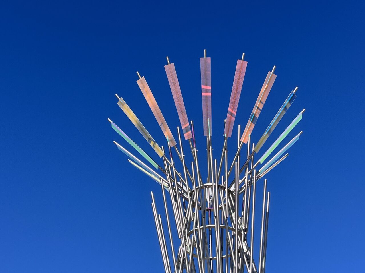 Radiata, El Paso, Texas | Image 4 | Ed Carpenter, Artist