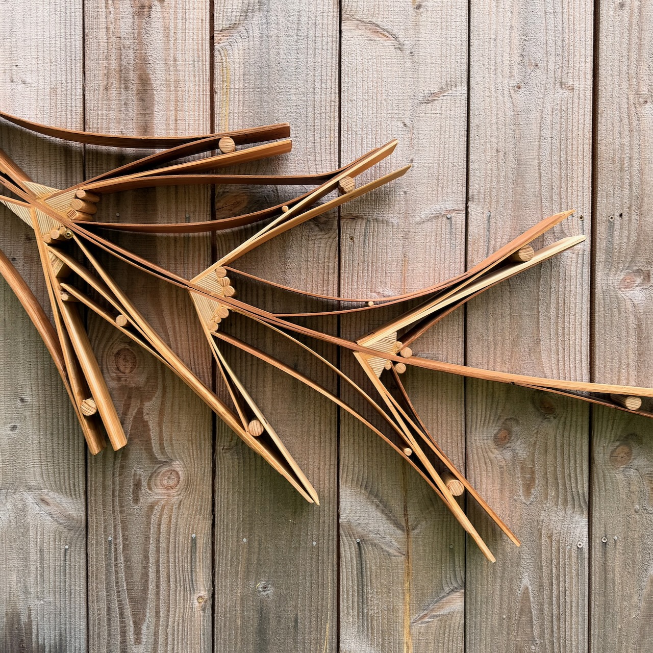 Wood Sculptures | Image 60 | Ed Carpenter, Artist