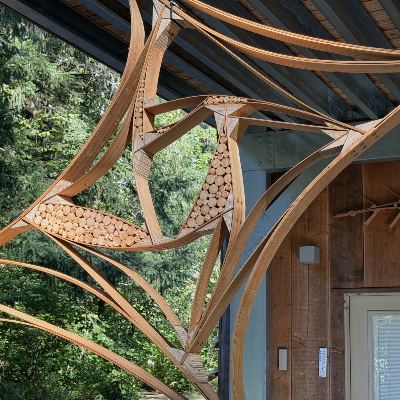 Wood Sculptures | Image 62 | Ed Carpenter, Artist