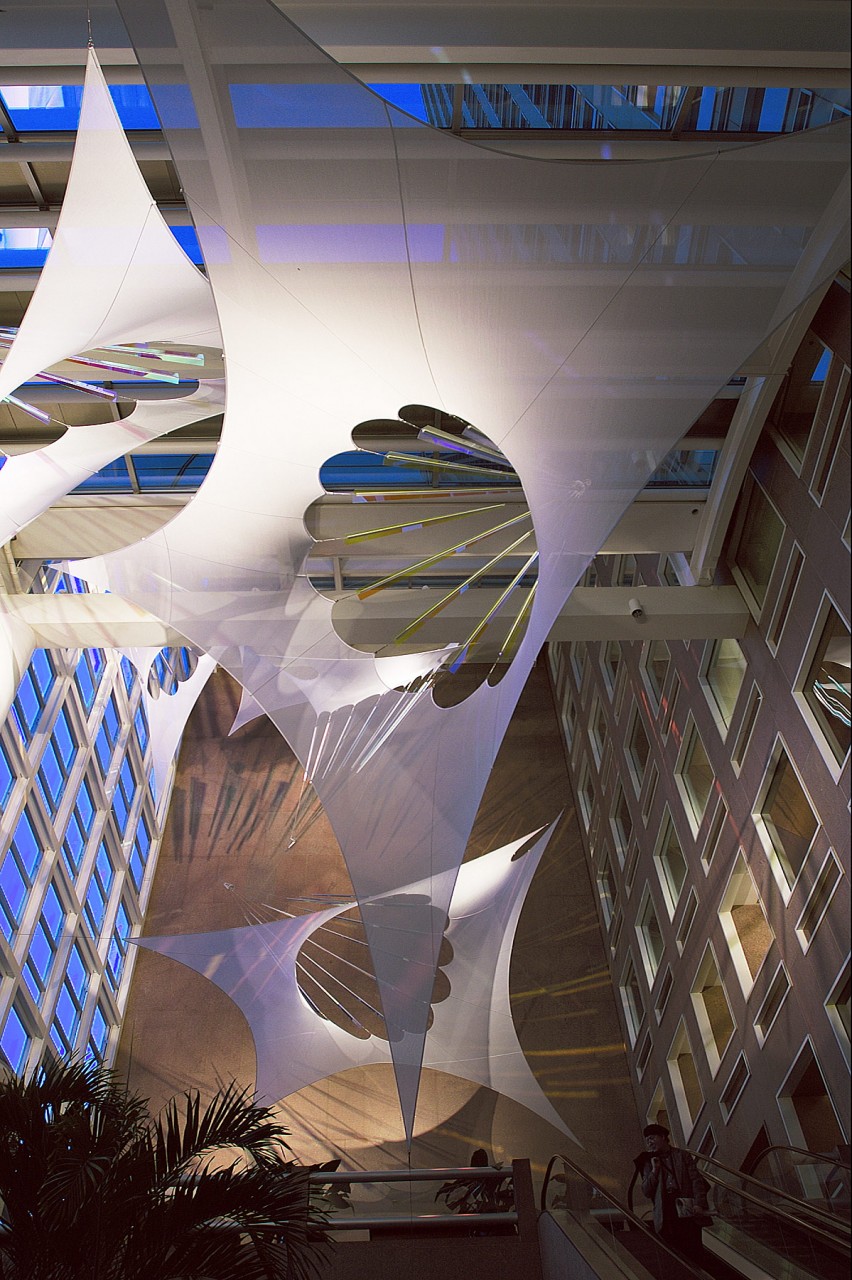 Altaflora, Denver, Colorado | Image 3 | Ed Carpenter, Artist