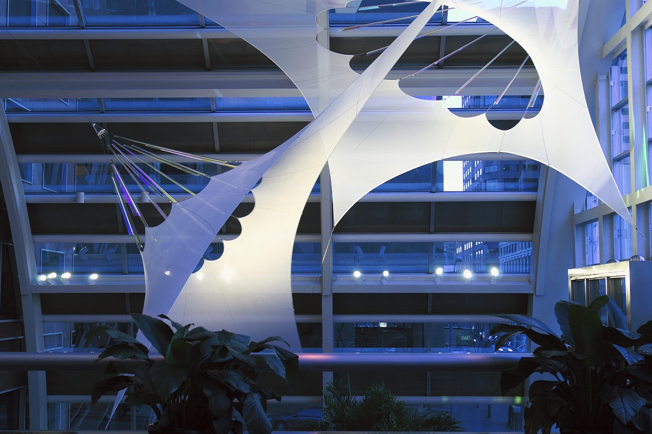 Altaflora, Denver, Colorado | Image 5 | Ed Carpenter, Artist