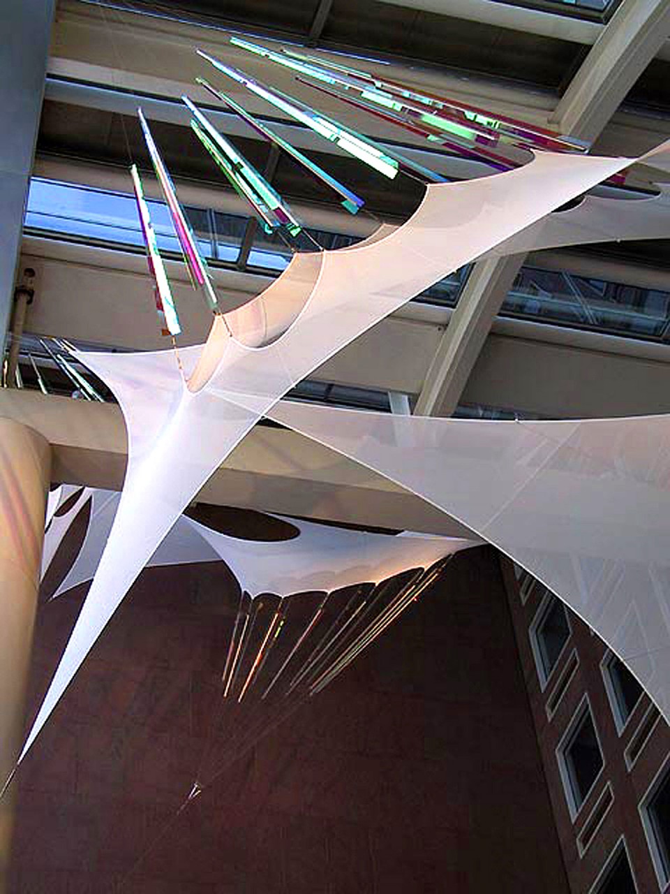 Altaflora, Denver, Colorado | Image 8 | Ed Carpenter, Artist