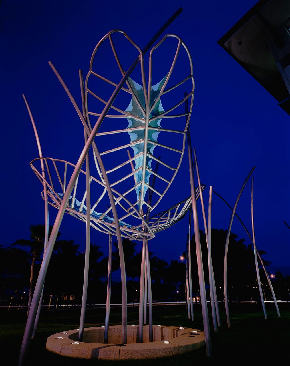 Dream Leaves, Honolulu, Hawaii | Image 1 | Ed Carpenter, Artist