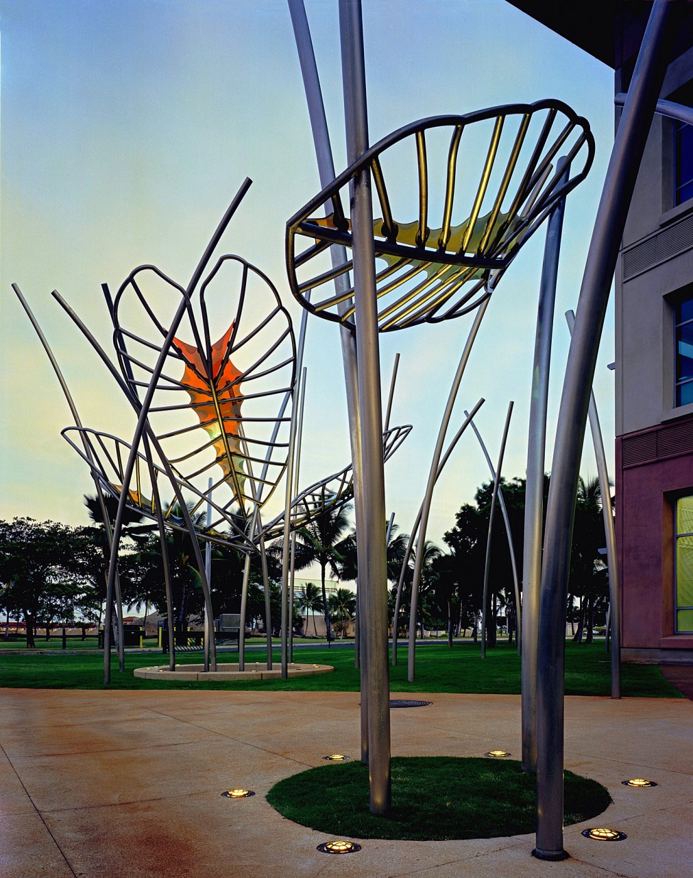 Dream Leaves, Honolulu, Hawaii | Image 4 | Ed Carpenter, Artist